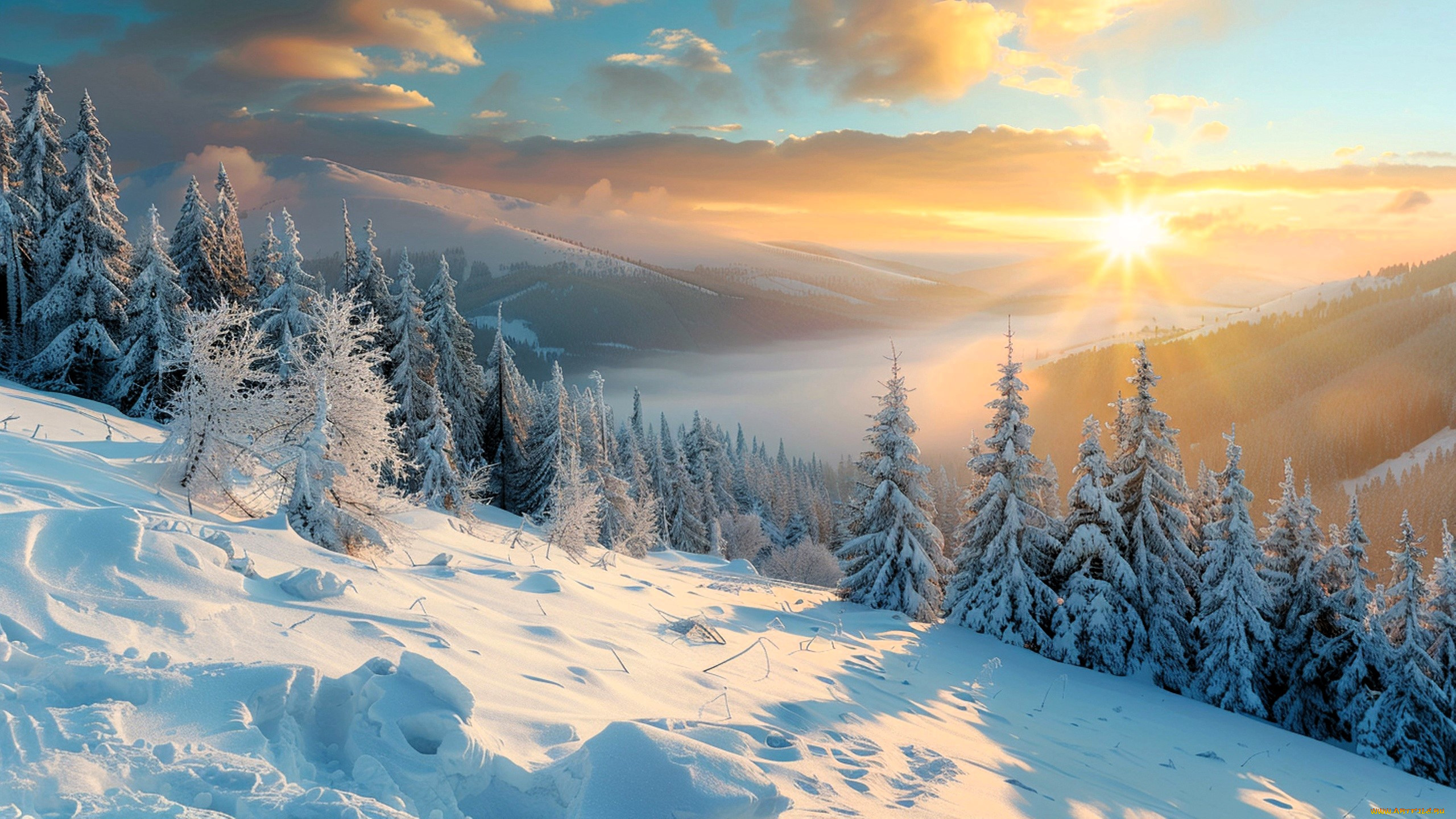 3 ,  , nature, , , , , 